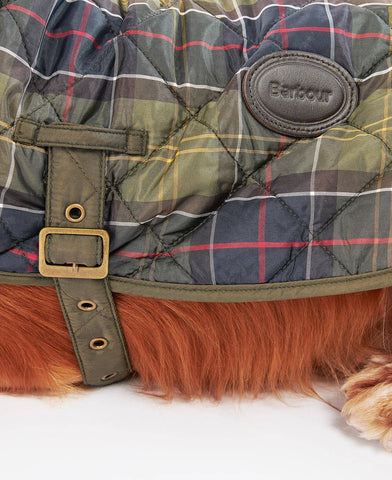 Dco0005 - Cani - BARBOUR