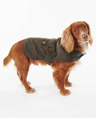 Dco0018 - Cani - BARBOUR