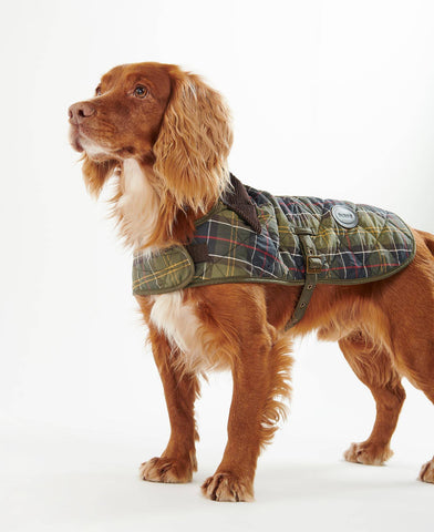 Dco0005 - Cani - BARBOUR