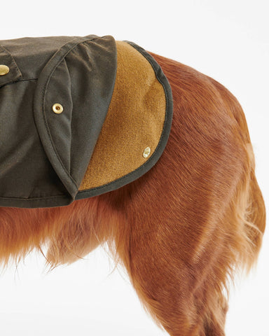 Dco0018 - Cani - BARBOUR