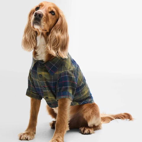 Dco0084 - Cani - BARBOUR