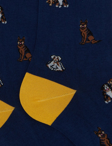 AP514277 - Accessori - Gallo